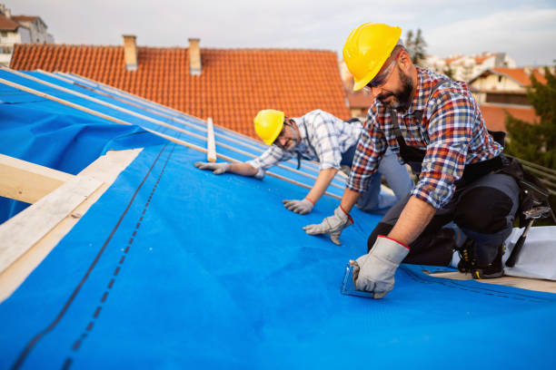 Best Roof Repair Services  in Wellsville, MO